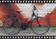 stevens albis forma városi kerékpár