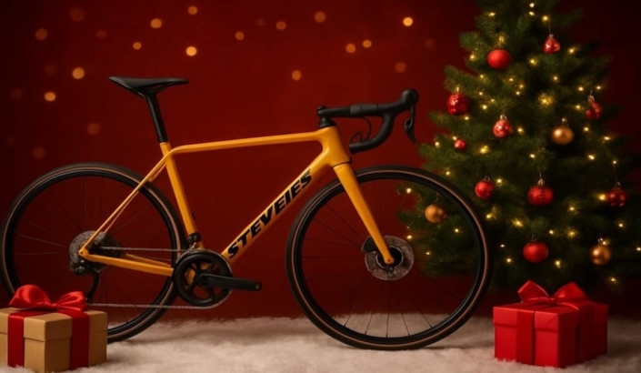 stevens karácsonyi akció